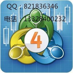 正版MT4平台搭建维护与托管指南